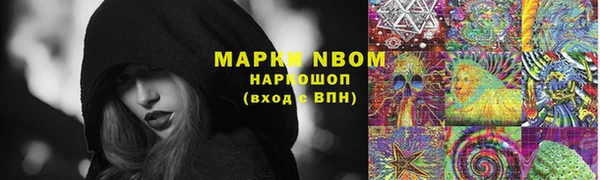 прущая мука Инсар